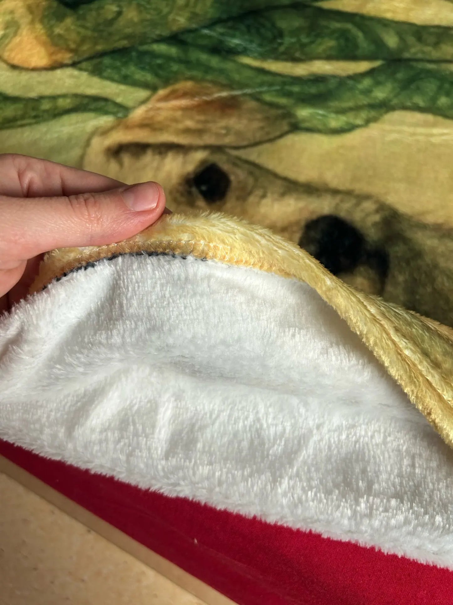 Couverture en peluche personnalisée